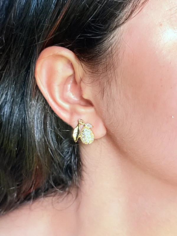 fruit-stone-studs