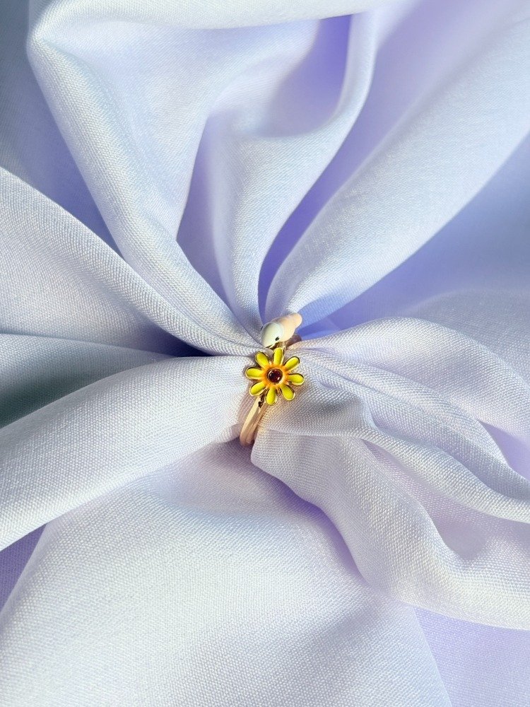 bird-western-ring